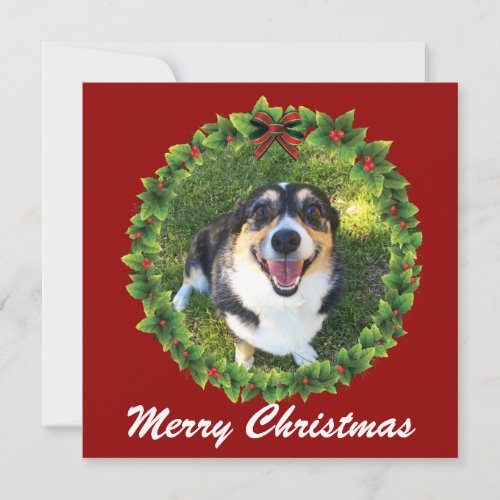 Merry Christmas Wreath Custom Dog Photo Holiday Card