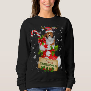 Merry Christmas Xmas Lights Santa Reindeer Sheltie Sweatshirt