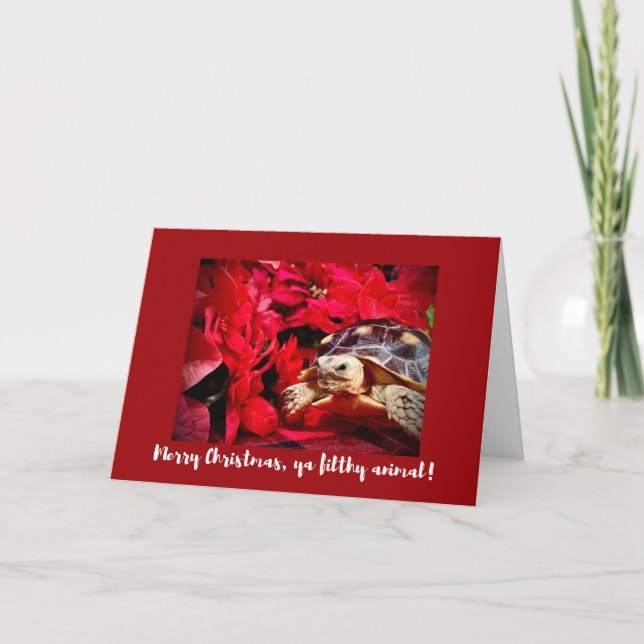 Merry Christmas ya filthy animal baby turtle Xmas Card (Front)