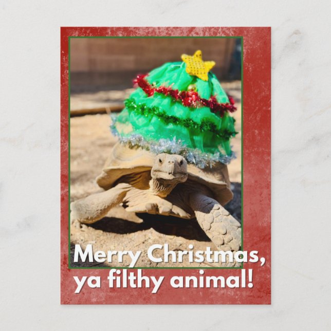 Merry Christmas ya filthy animal Sarcastic turtle Postcard (Front)