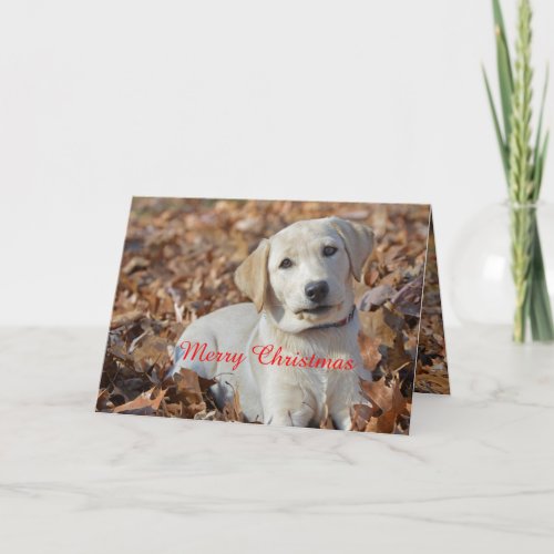 Merry Christmas Yellow Labrador Retriever Holiday Card