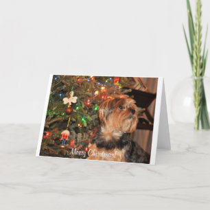 Merry Christmas,Yorkie,Yorkshire Terrier Holiday Card