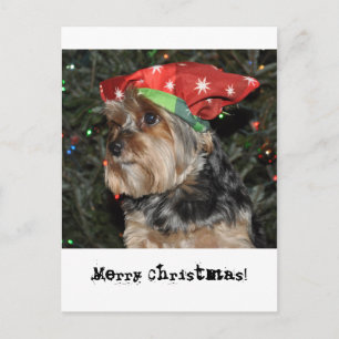 Merry Christmas Yorkshire Terrier Postcard Card