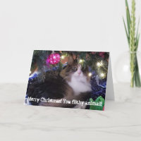 Merry Christmas you filthy animal aloof cat