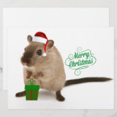 Merry Christmouse (Front/Back)