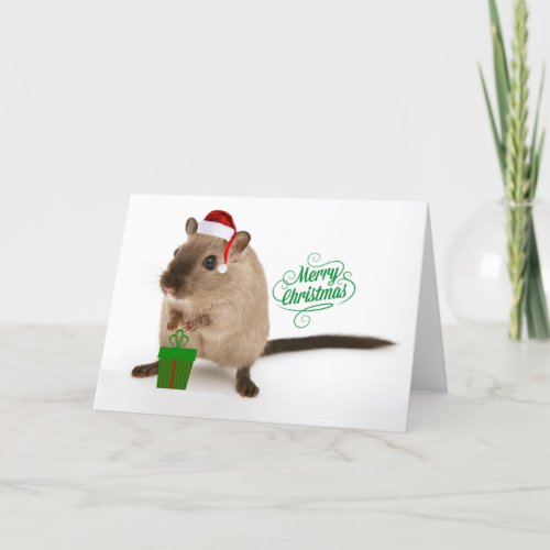 Merry Christmouse Holiday Card