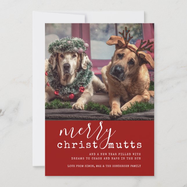 Merry ChristMUTTS Dog Photo Cute Simple  Holiday Card (Front)