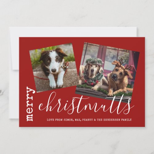 Merry ChristMUTTS Dog Photo Pets Holiday Card