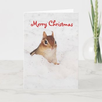 Merry Christnas Little Snowy Chipmunk Card by Meg_Stewart at Zazzle