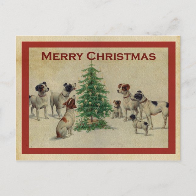 Merry dog Christmas Postcard (Front)