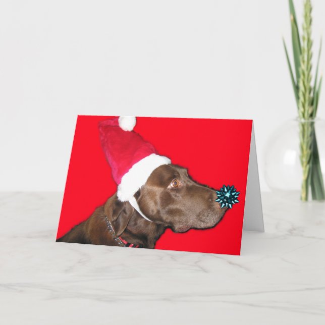 Merry Dogmas! Holiday Card (Front)