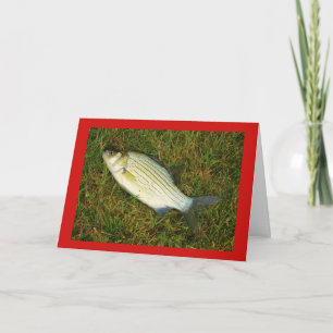 Merry Fishmas! Holiday Card
