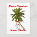 Merry Florida Christmas Holiday Postcard