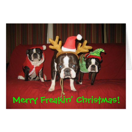 Merry Freakin' Christmas! Card