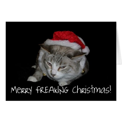 Merry Freaking Christmas Fat Cat Christmas Card | Zazzle