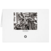 Merry-go-round Horse B&W (Back Horizontal)