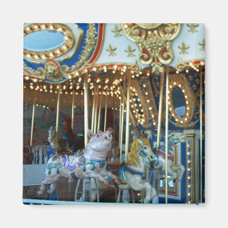 Merry Go Round Magnet
