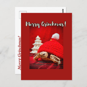 Merry Grinchmas baby sulcata tortoise in a red hat Postcard