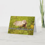 Merry Groundhog Day Greeting Card