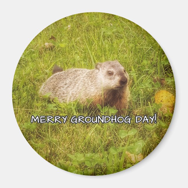 Merry Groundhog Day magnet (Front)