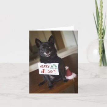 Merry Holiday by BellaCassidy at Zazzle