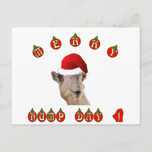 Merry Hump Day Hump Day Camel Holiday Postcard