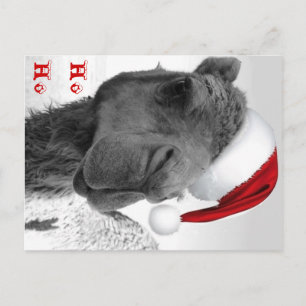 Merry Humpin' Christmas Camel Claus Holiday Postcard