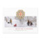 Merry Little Christmas Chic Festive Flower 2 Photo