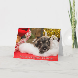 Merry Little Christmas Holiday Card