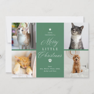 Merry Little Christmas Pet 4 Photo Flat Holiday Card