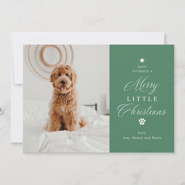 Merry Little Christmas Pet Photo Flat Holiday Card (Front)