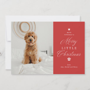 Merry Little Christmas Pet Photo Flat Holiday Card