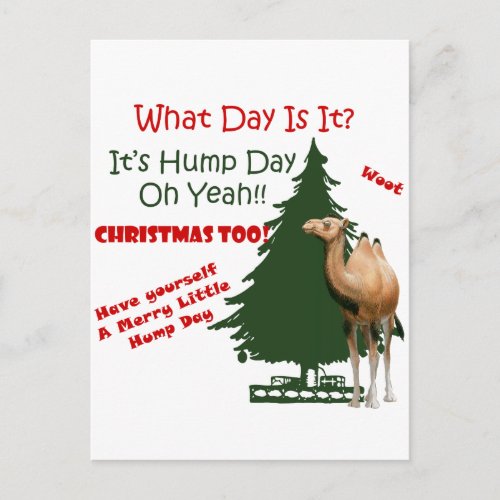 Merry Little Hump Day Christmas Holiday Postcard