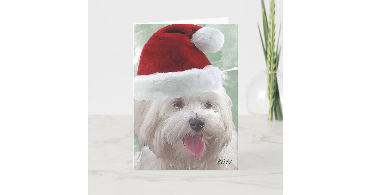 Merry Maltese Christmas Greeting Card Zazzle