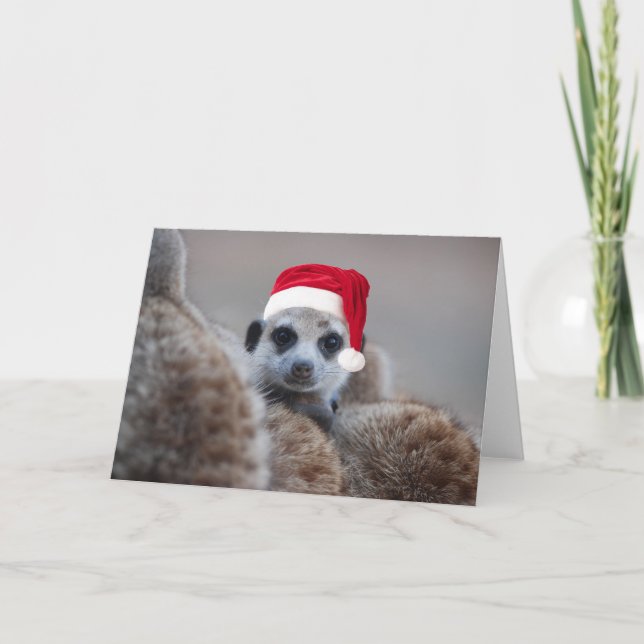 Merry Meerkat Christmas - Seasons greetings 2 Holiday Card (Front)