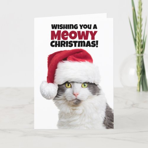 Merry Meowy Christmas and Purr_fect New Year Cat Holiday Card