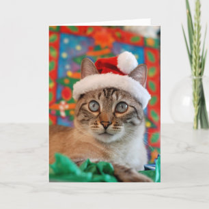 Merry Meowy Christmas from Kitty Santa! Holiday Card