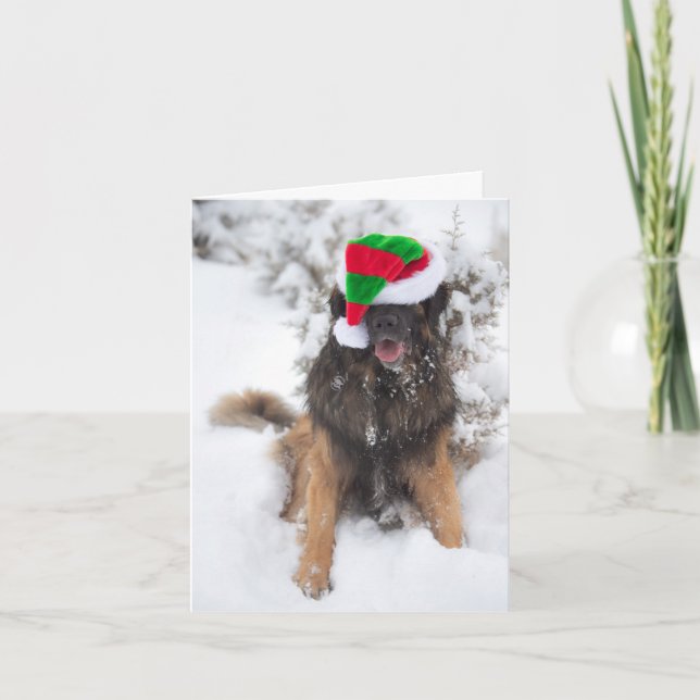 Merry Merry Leonberger Christmas card (Front)