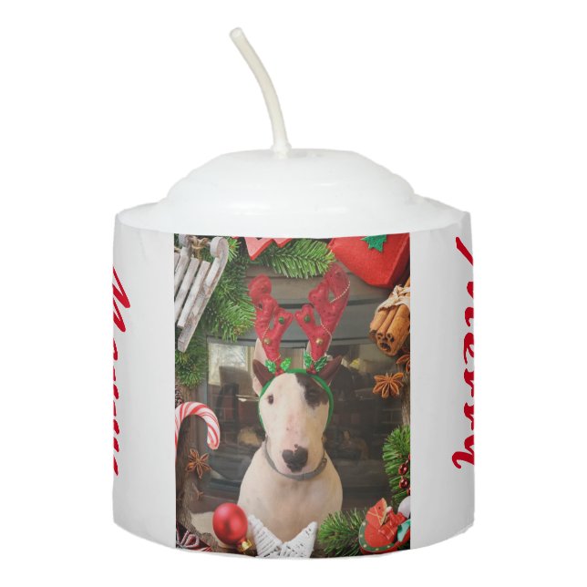 Merry Merry Rex Christmas Candle (Front)