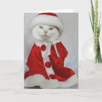 Merry Missy Holiday Card by myrtieshuman at Zazzle