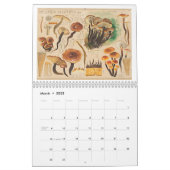MERRY MUSHROOMS Calendar (Mar 2025)