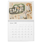 MERRY MUSHROOMS Calendar (Jan 2025)