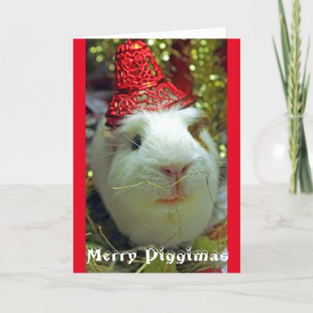 Merry Piggimas Card