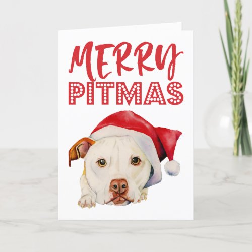 Merry Pitmas  Mr Funny Santa Pit Bull Dog Holiday Card