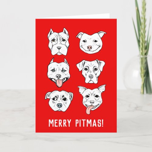 Merry Pitmas  Pit Bull Dog Faces Christmas Holiday Card