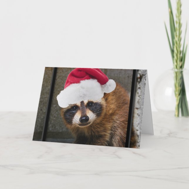 Merry Raccoon Christmas Holiday Card (Front)