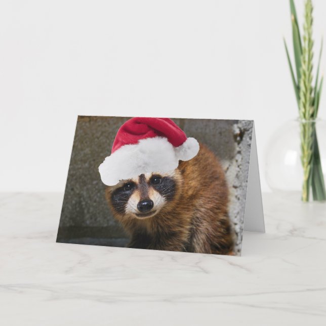 Merry Raccoon Christmas Holiday Card (Front)
