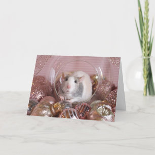 Merry Ratmas Holiday Card