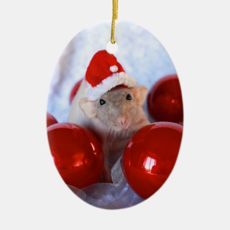 Merry Ratsmas Christmast Ornament