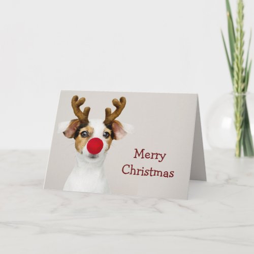 Merry Socially Distanced Christmas Cute Dog Humor Card